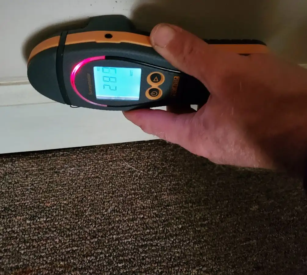 Moisture detection at baseboard during Burst Pipe Cleanup in Auburn